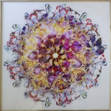 Blooming Mandala / Main Image